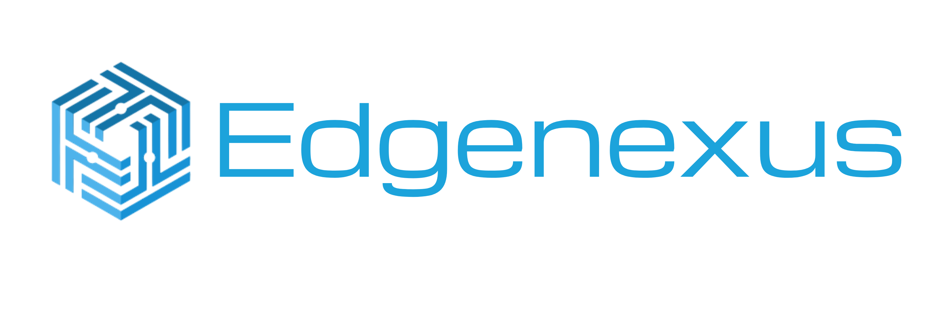 EdgeNexus Logo